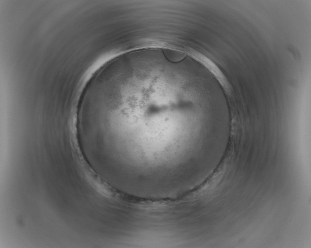 X0000115491051200911061303