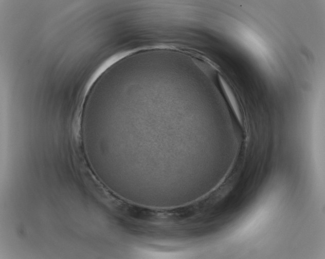 X0000115491052200911061303