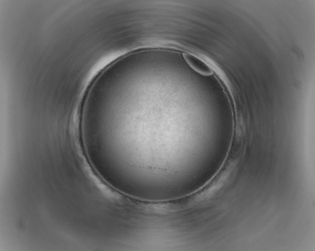 X0000115491053200911061303