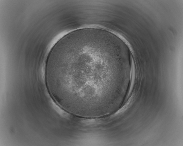 X0000115491054200911061303