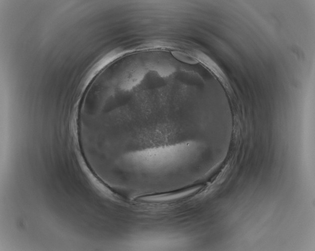 X0000115491055200911061303
