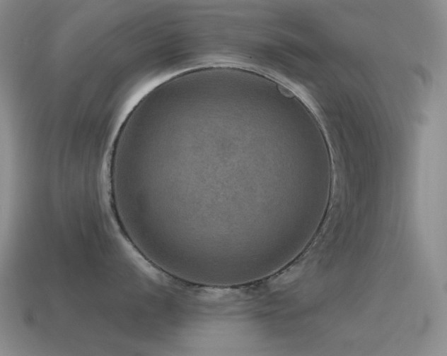 X0000115491056200911061303