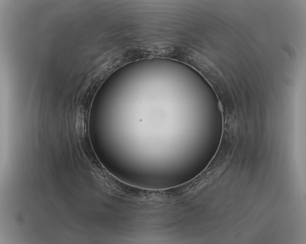 X0000115491058200911061302
