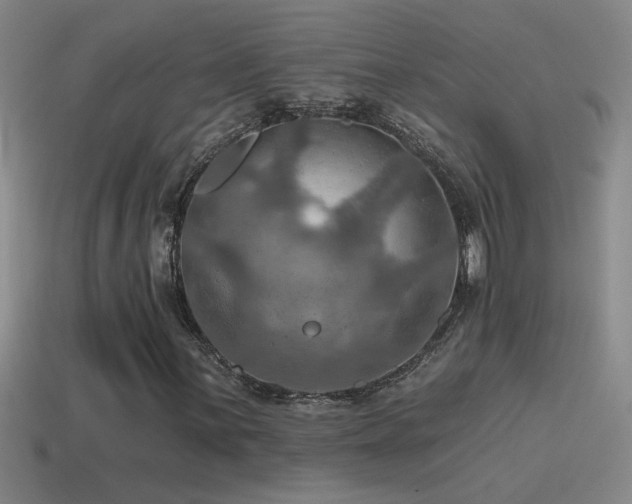X0000115491059200911061302