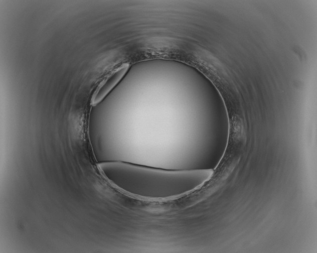 X0000115491060200911061302