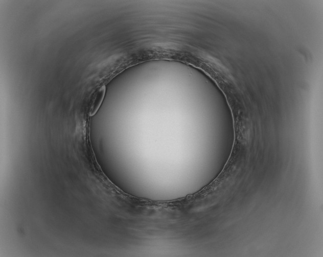 X0000115491061200911061302