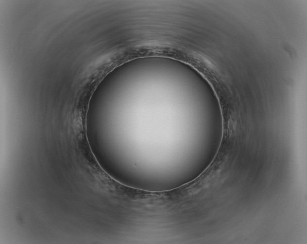 X0000115491062200911061302