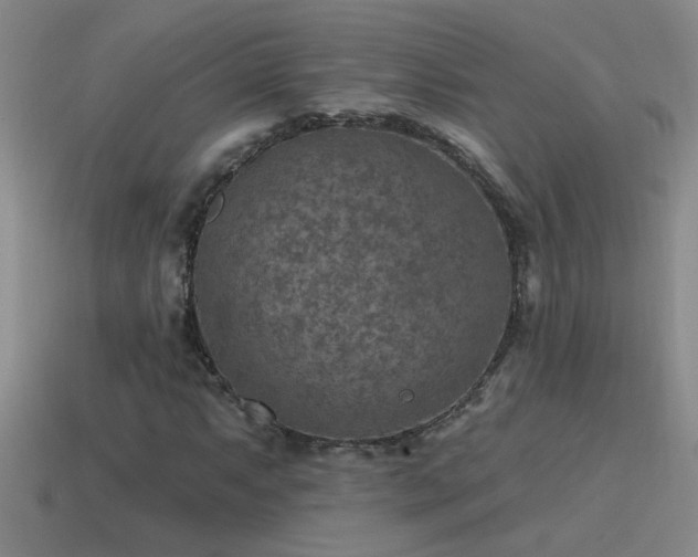 X0000115491063200911061302