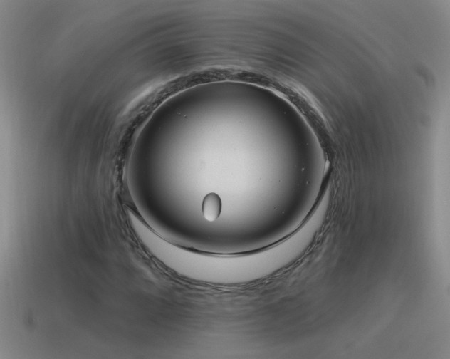 X0000115491064200911061302