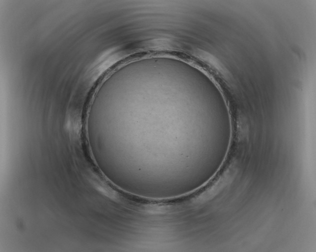 X0000115491065200911061302