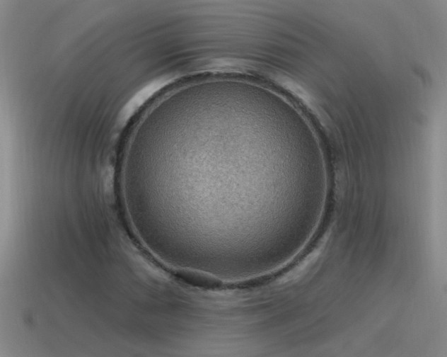 X0000115491066200911061302