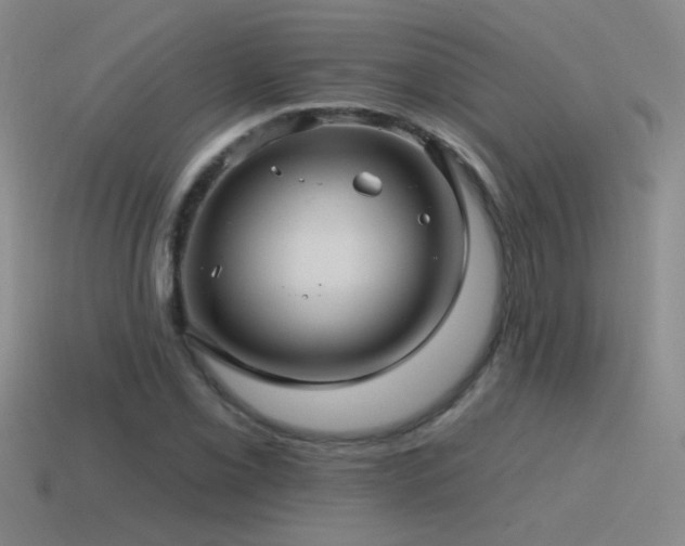 X0000115491069200911061302