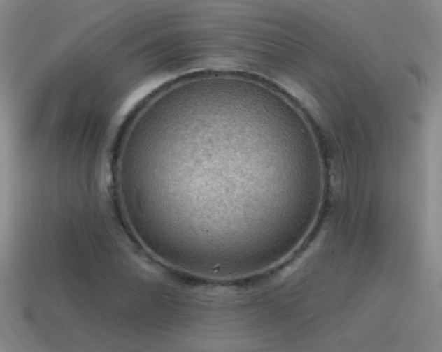 X0000115491070200911061302
