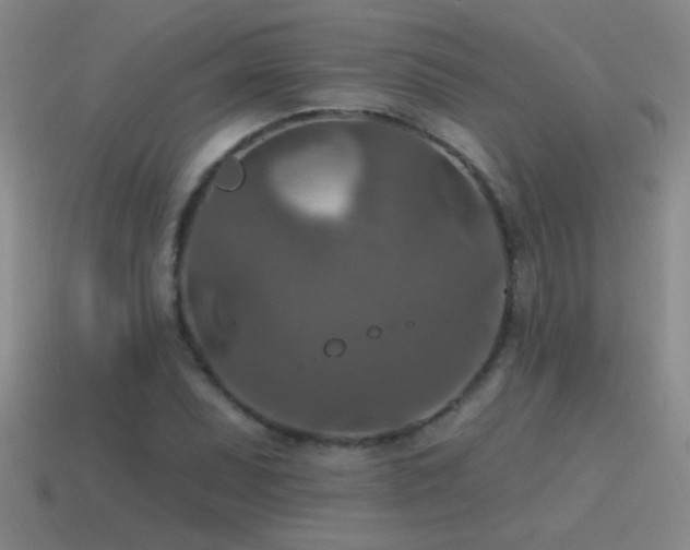 X0000115491071200911061302
