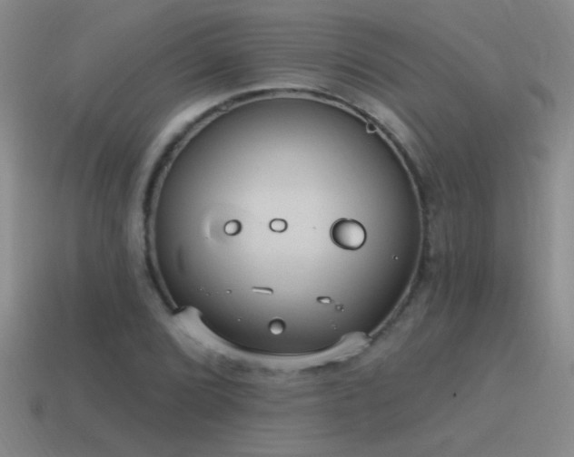 X0000115491072200911061302