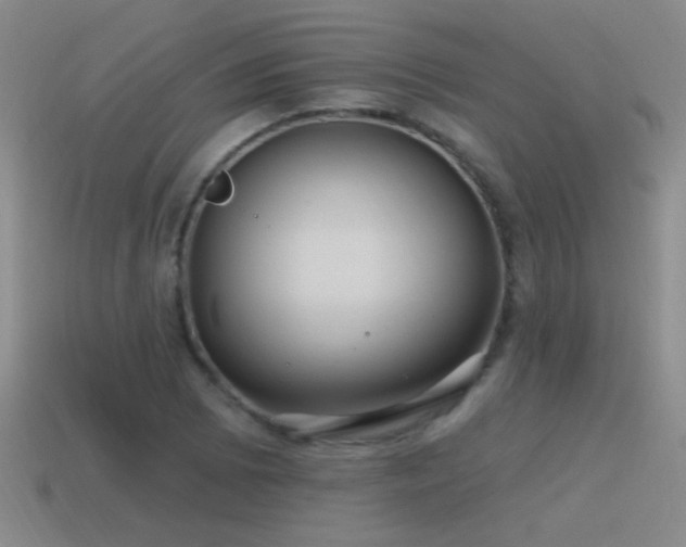 X0000115491073200911061302