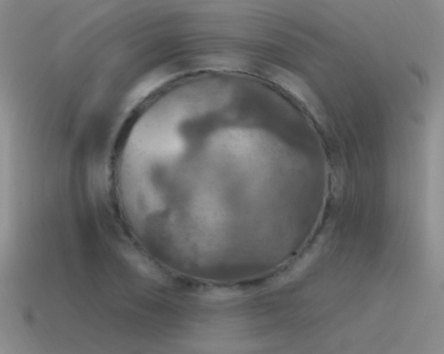 X0000115491074200911061302