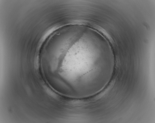X0000115491075200911061302