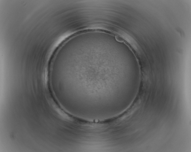 X0000115491076200911061302