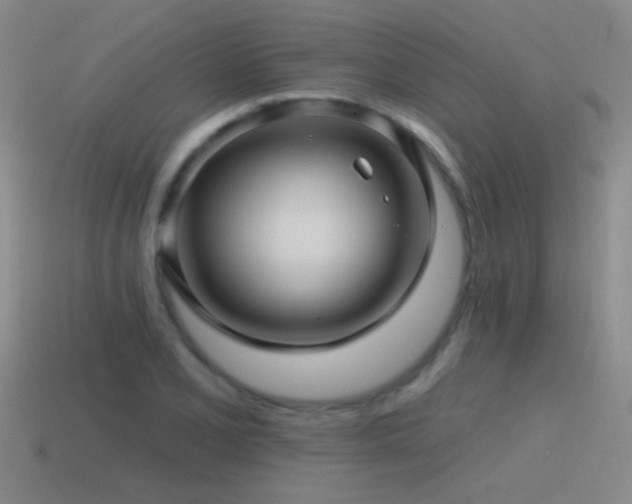 X0000115491077200911061302