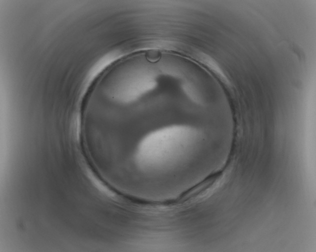 X0000115491079200911061302