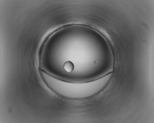 X0000115491080200911061302