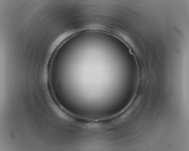 X0000115491082200911061302