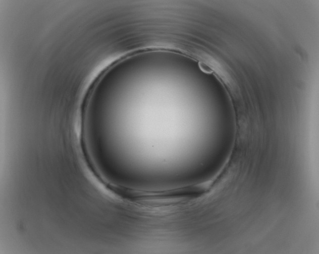 X0000115491084200911061302