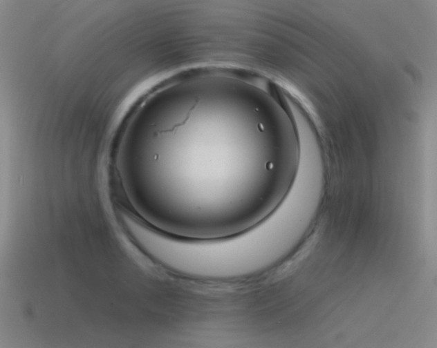 X0000115491085200911061302