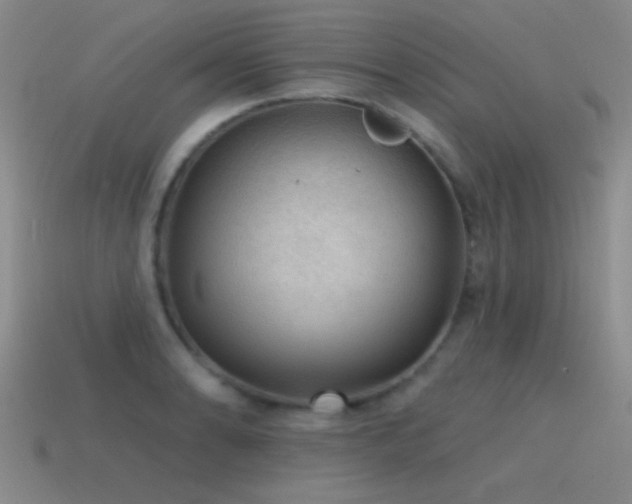 X0000115491086200911061302
