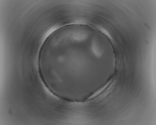 X0000115491087200911061302