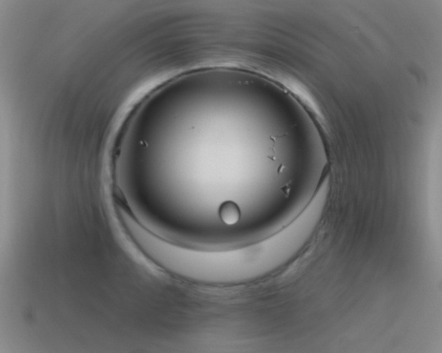 X0000115491088200911061302