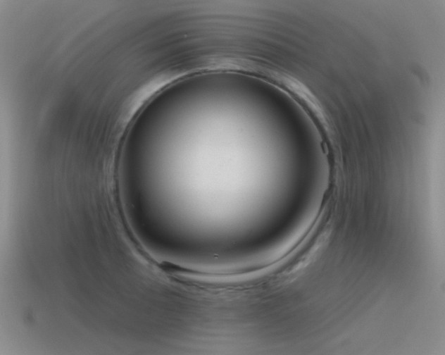 X0000115491089200911061302