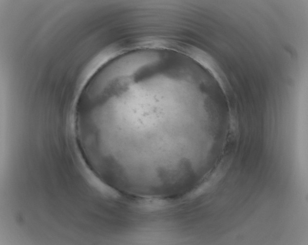 X0000115491090200911061302