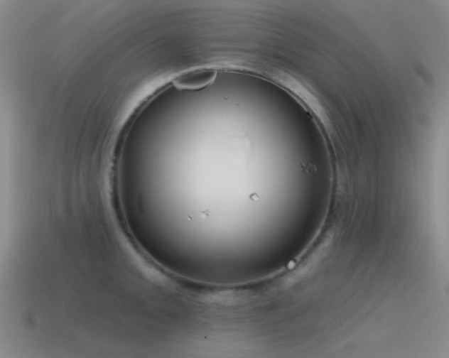 X0000115491093200911061302