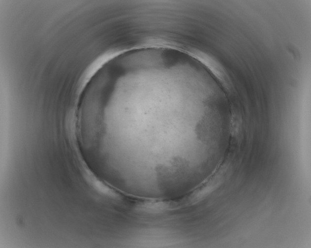 X0000115491094200911061302