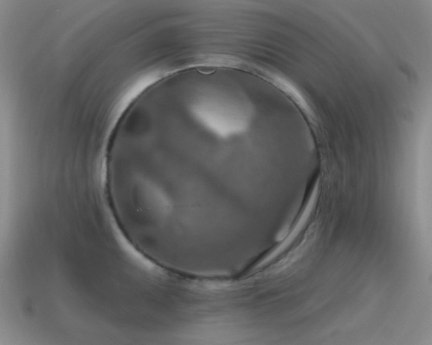 X0000115491095200911061302