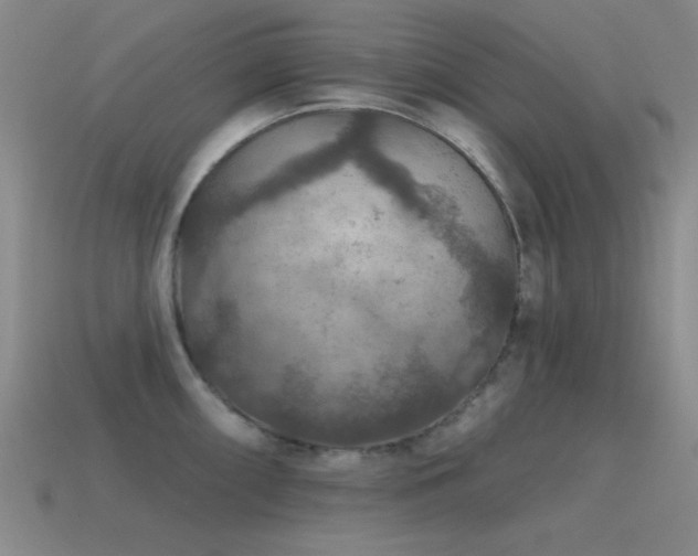 X0000115491098200911061302
