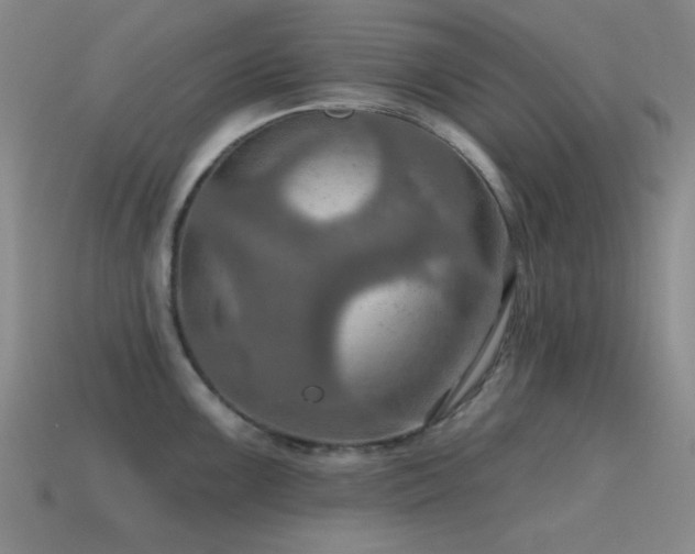 X0000115491099200911061302