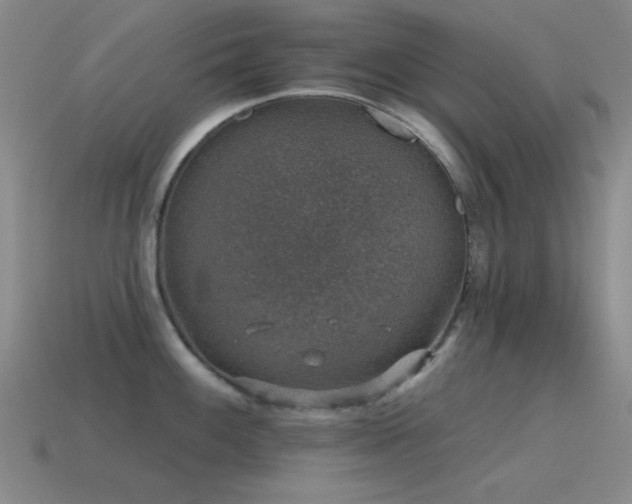 X0000115491100200911061302