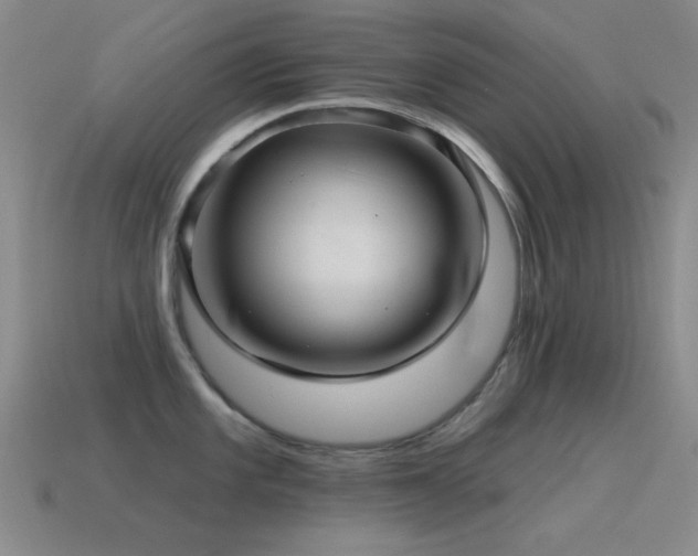 X0000115491101200911061302