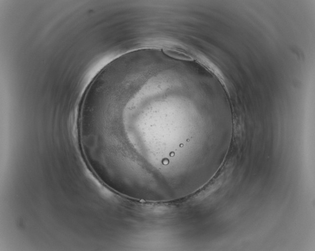 X0000115491103200911061302