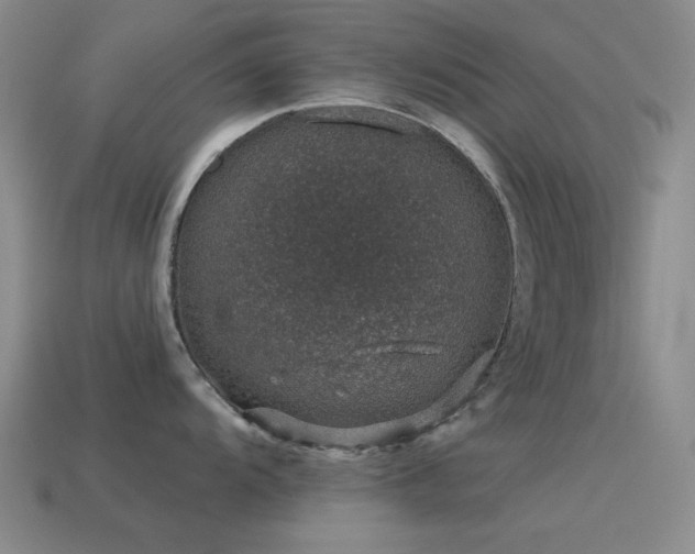 X0000115491104200911061302