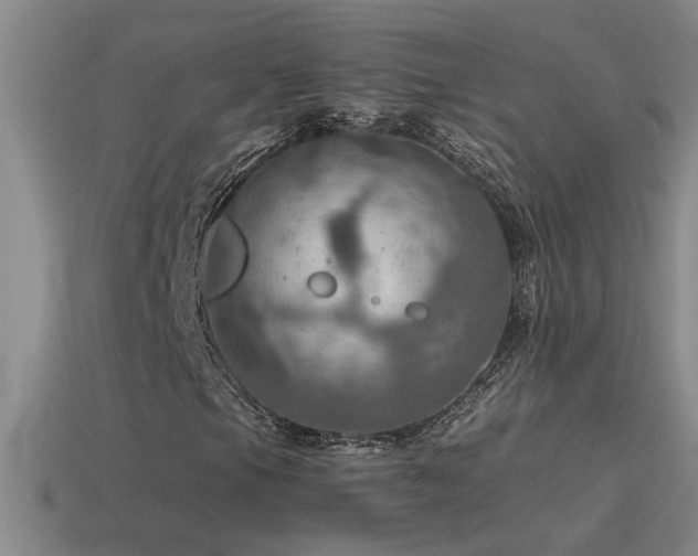 X0000115491105200911061301