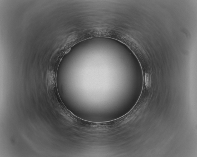 X0000115491107200911061301