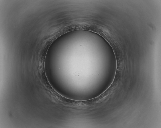 X0000115491109200911061301