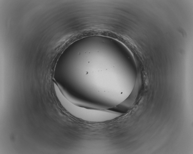 X0000115491110200911061301