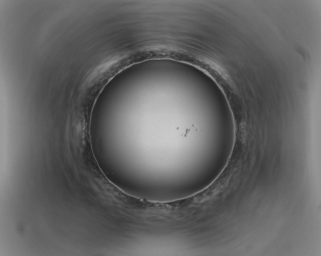 X0000115491111200911061301