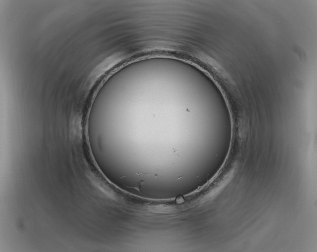 X0000115491113200911061301