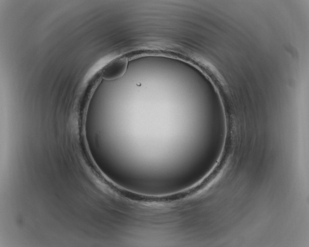 X0000115491114200911061301
